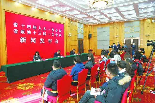 青海两会：农工党青海省委建言打造绿氢品牌、多场景应用促深度脱碳
