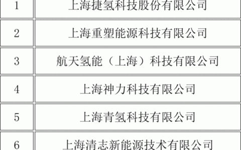 7家企业上榜！上海市公布2022年度燃料电池汽车示范支持单位