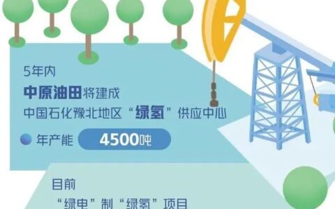 中原油田PEM制氢项目成功装车