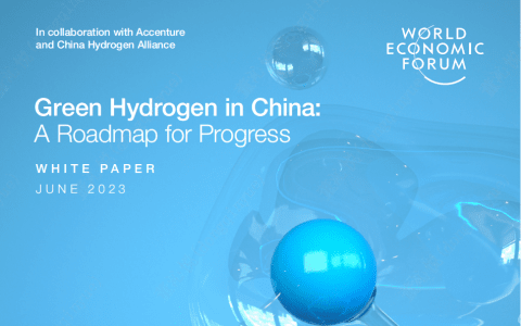 行业资讯|世界经济论坛发布中国绿色氢能产业路线图