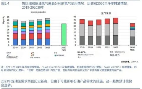 IEA：全球氢能需求今年将达1亿吨！中国电解槽产能占八成！