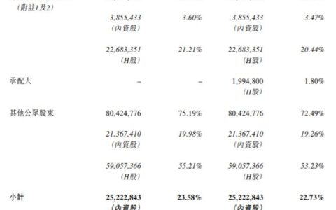国富氢能半个月内再度配售：拟募资1亿港元，上半年亏损收窄