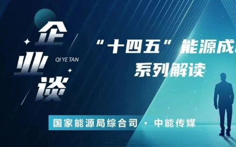 “十四五”能源成就企业谈丨深入贯彻能源安全新战略 为推进中国式现代化贡献力量